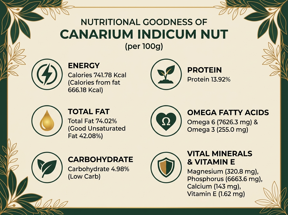 Nutritional Goodness NATSEPA Canarium: Calories 741.78 Kcal, Protein 13.92%, Total Fat 74.02%, Omega 6 & Omega 3, Carbohydrate 4.98%, Minerals